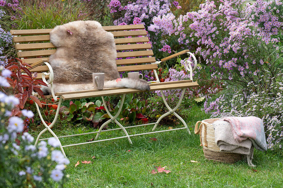 Gartenbank mit Sitzfell am Herbstbeet mit Astern und Bergenien, Korb mit Decke