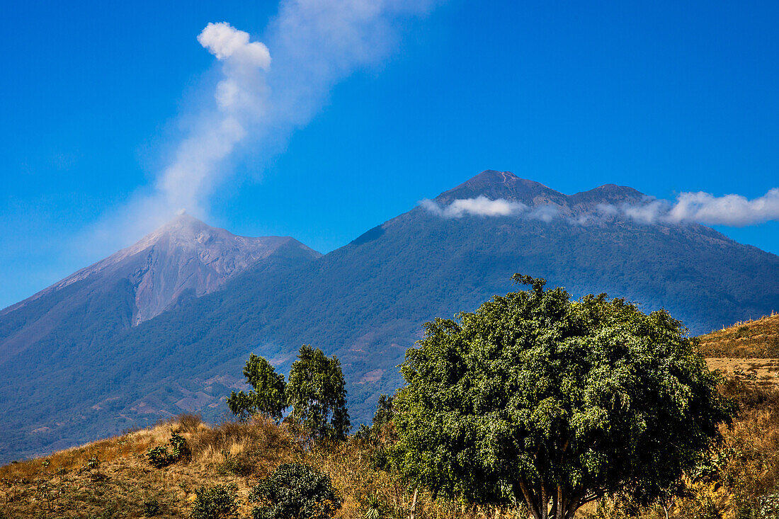 Volcan de Pacaya, Agua, Acatenango und Fuego mit Rauchwolke, bei Antigua, Guatemala, Mittelamerika
