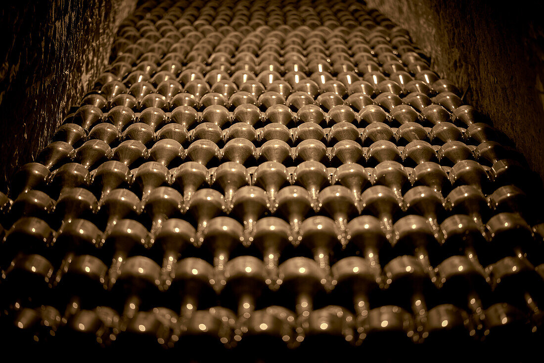 Old champagne bottles in a wine cellar, Champagne, France