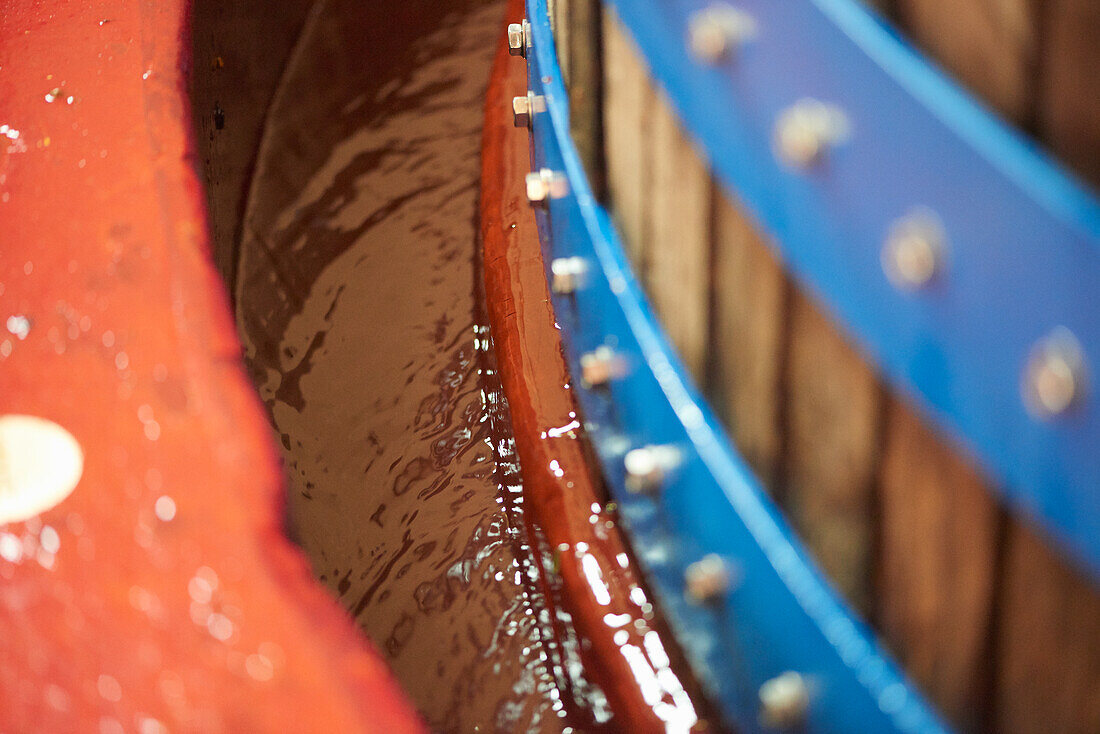 wine press in champagne area, pineau noir