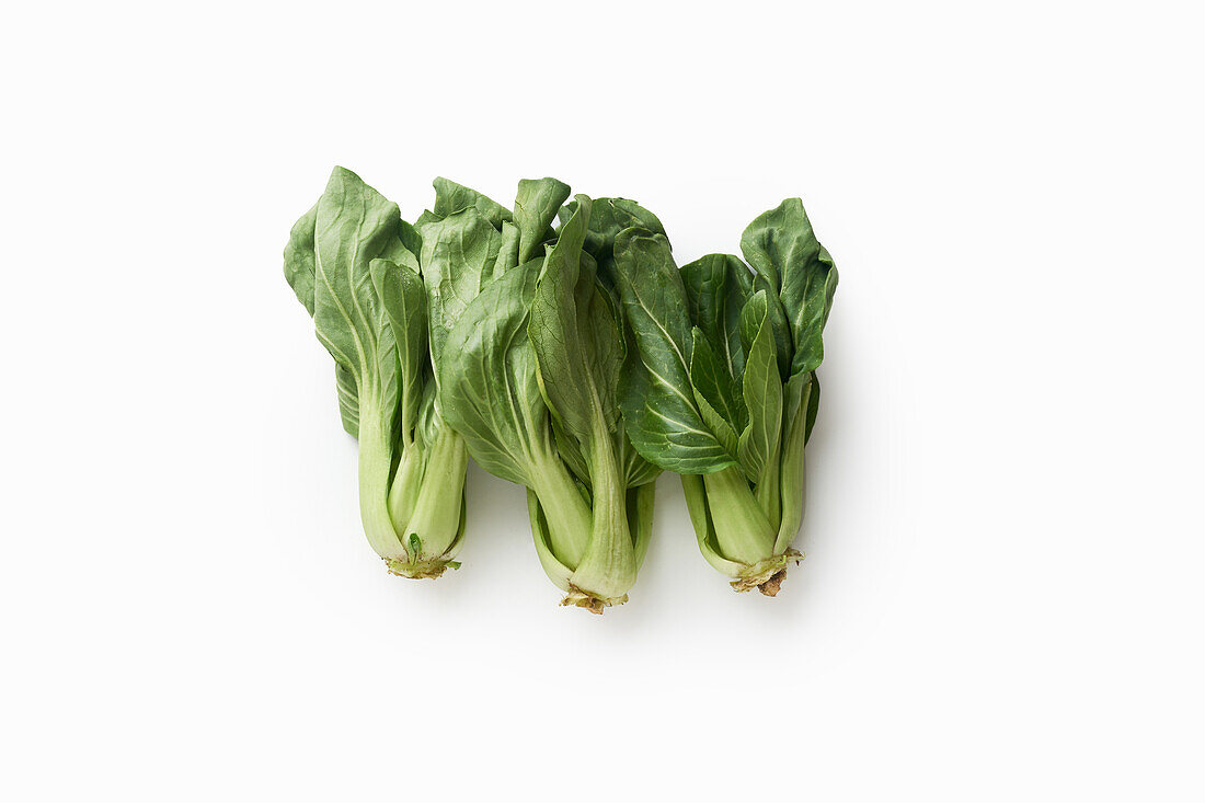 Bok choy or pak choy asian cabbage isolated on white background
