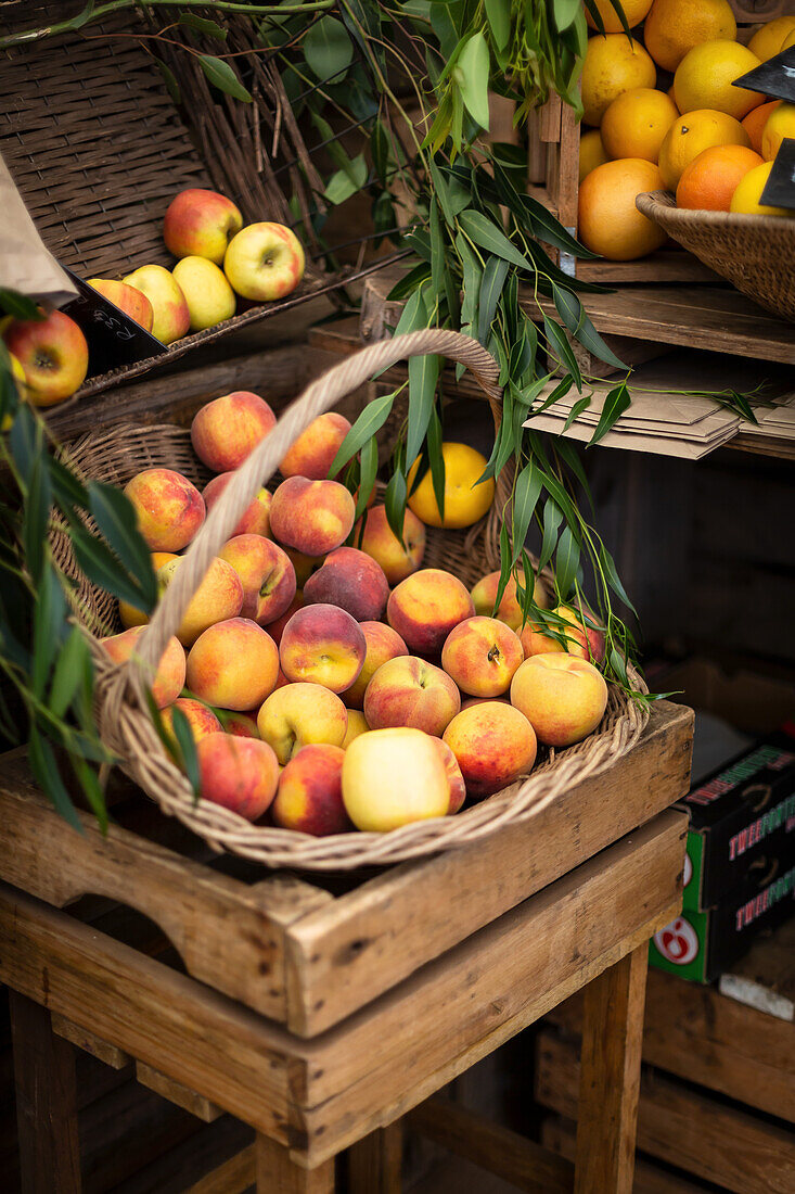 Pfirsiche im Korb auf einem Bauernmarkt
