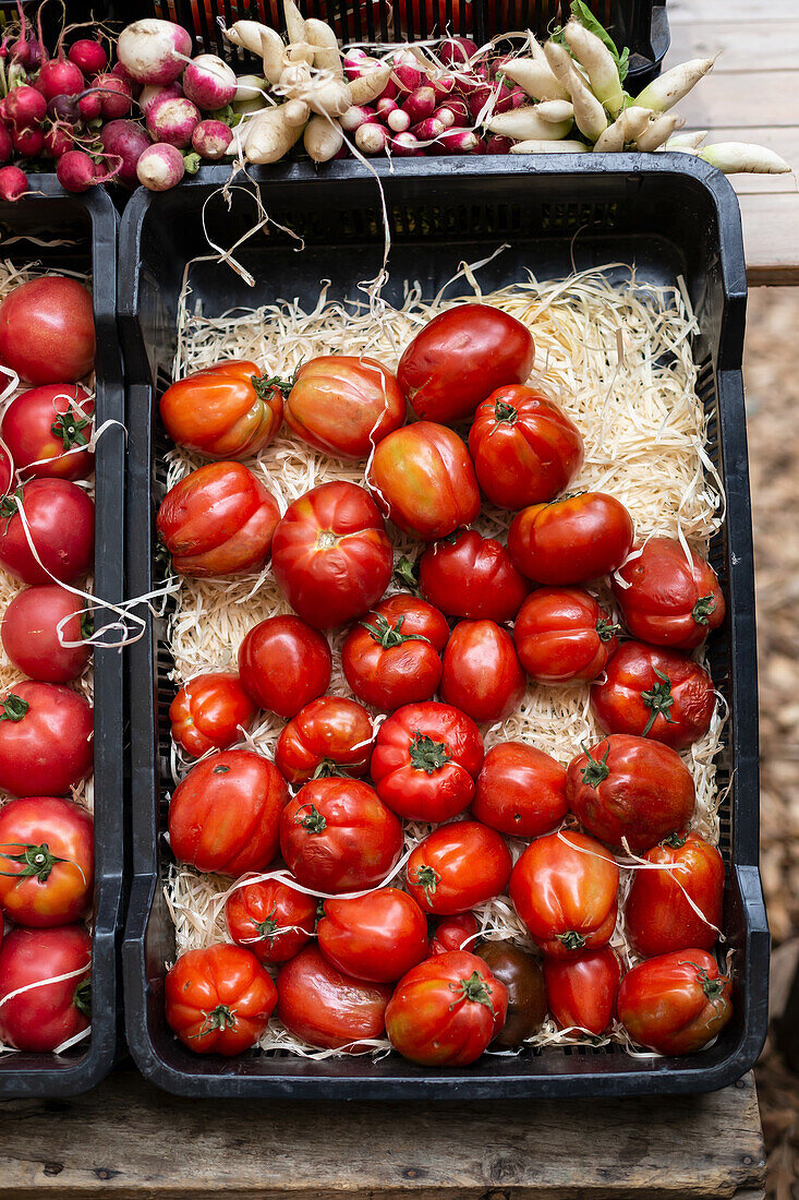 Fresh tomatoes at a farmers' market
