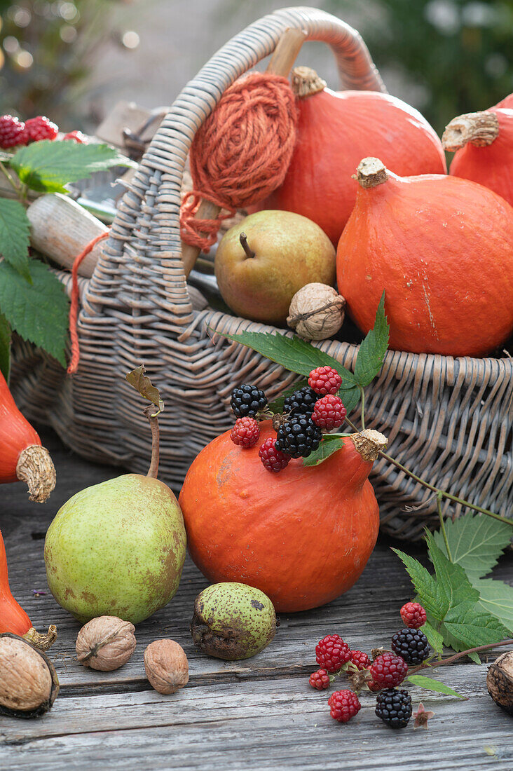 Erntekorb mit Hokkaido-Kürbissen, Birnen, Walnüssen und Brombeeren