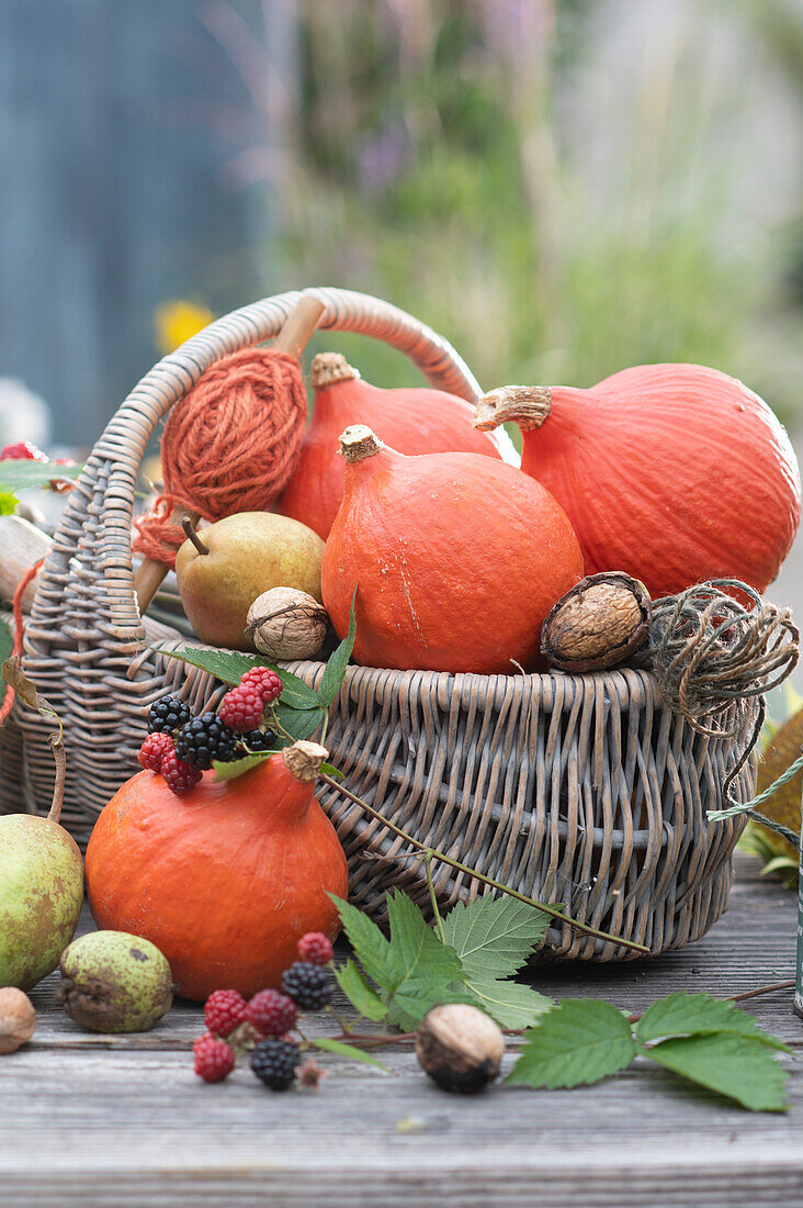 Harvest basket with Hokkaido pumpkins, pears, walnuts and blackberries