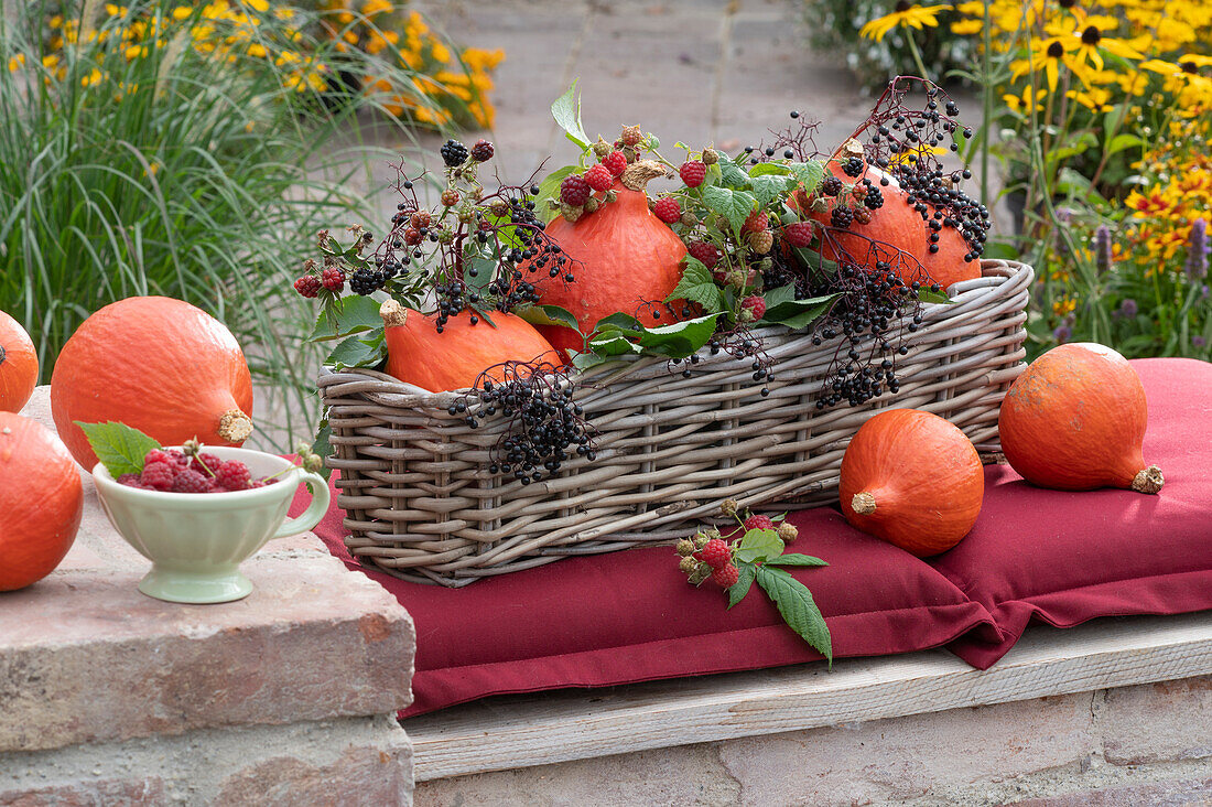 Hokkaido pumpkins with elderberries, raspberries and blackberries in a basket box on a seat cushion