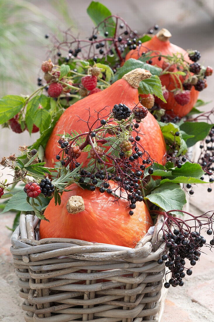 Hokkaido-Kürbisse mit Holunderbeeren, Himbeeren und Brombeeren im Korbkasten