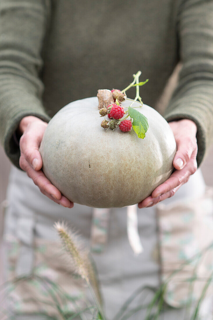 Woman holding edible pumpkin 'Hungarian Blue', branch with raspberries as decoration