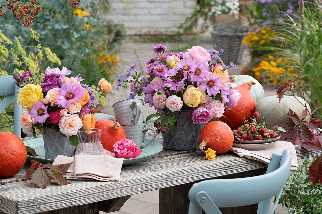 Autumn bouquets of roses, ornamental baskets and asters, gourds, cups and napkins, peacock butterfly on flower, bowl of raspberries