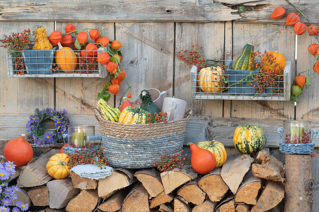 Autumn decoration on the firewood pile: gourds, ornamental gourds, lantern fruits, rose hips in wall hangers and baskets, wreath of autumn asters and man litter, wind light
