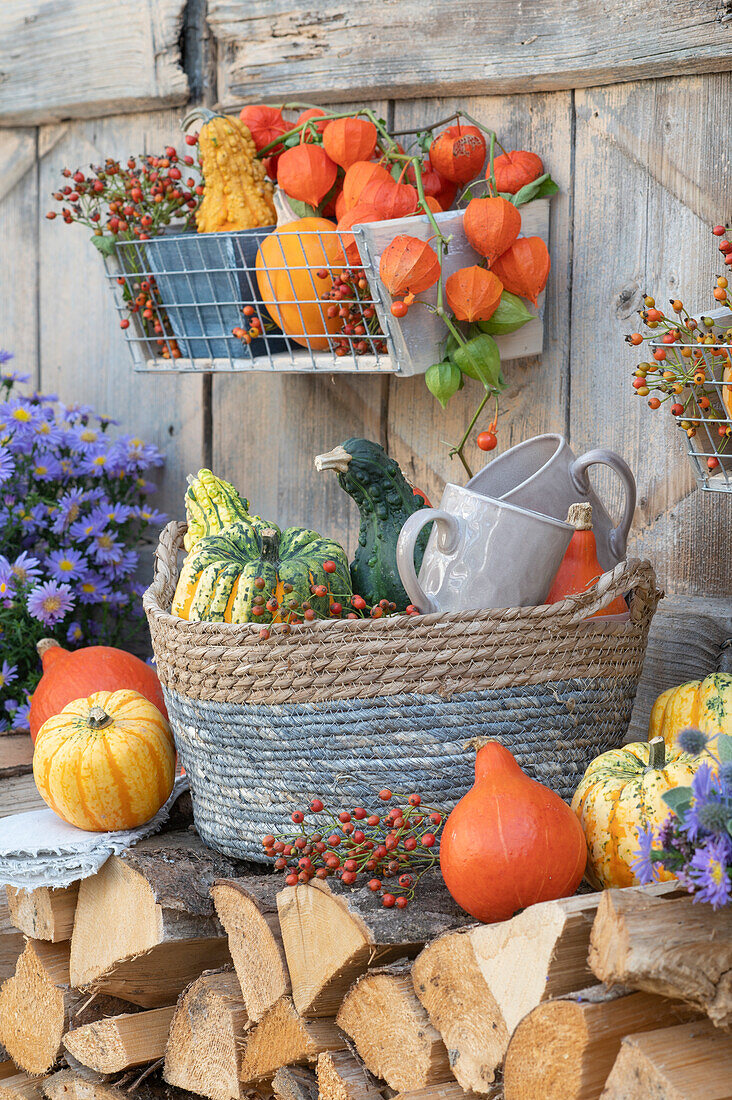 Herbstdekoration am Brennholzstapel: Speisekürbisse, Zierkürbisse, Lampionfrüchte, Hagebutten und Herbstastern in Wandhänger und Korb