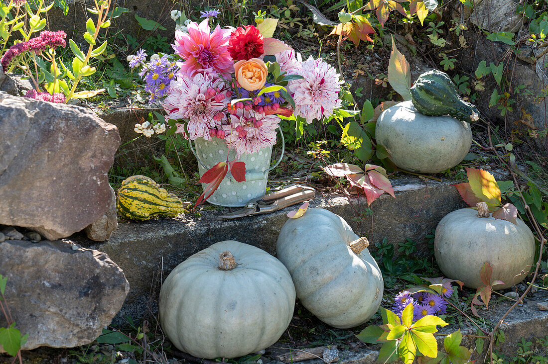 Autumn bouquet of dahlias, roses, asters, snowberries and seed heads of peony, edible pumpkins 'Hungarian Blue' and ornamental pumpkins
