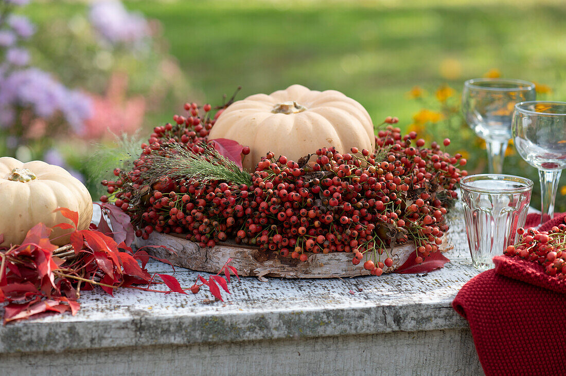 Mini muscat pumpkin 'Butterkin' in a rosehip wreath on a wooden disc