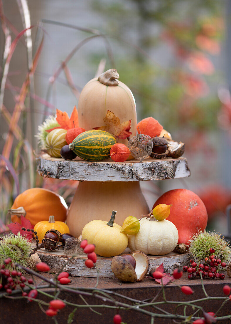 Etagere made of wooden discs and butternut squash, decorated with pumpkins, lantern fruits, chestnuts, rose hips and chestnuts