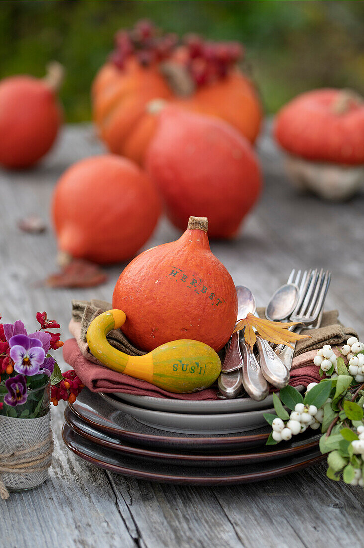 Pumpkin table decoration with pumpkins as place cards, small bouquet of peony fruit stands and horned violets, snow berries