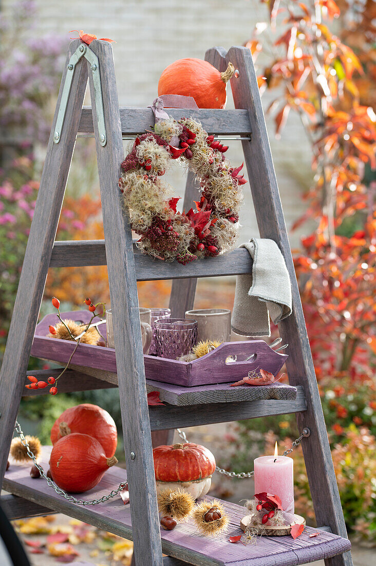Wooden ladder decorated as an etagere with autumn wreath of clematis fruit stands, stonecrop, rose hips and autumn leaves, pumpkins, candle on wooden discs and chestnuts