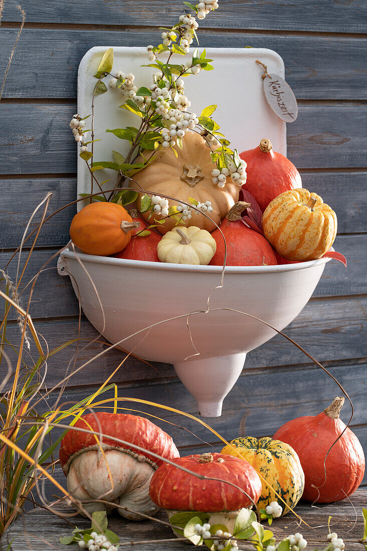 Wall fountain made of metal and decorated with small pumpkins, branch with snowberries, message : pumpkin time