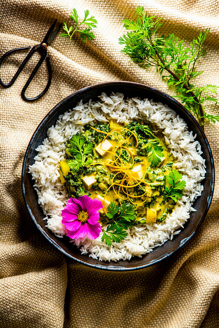 Palak paneer with creamed spinach on rice