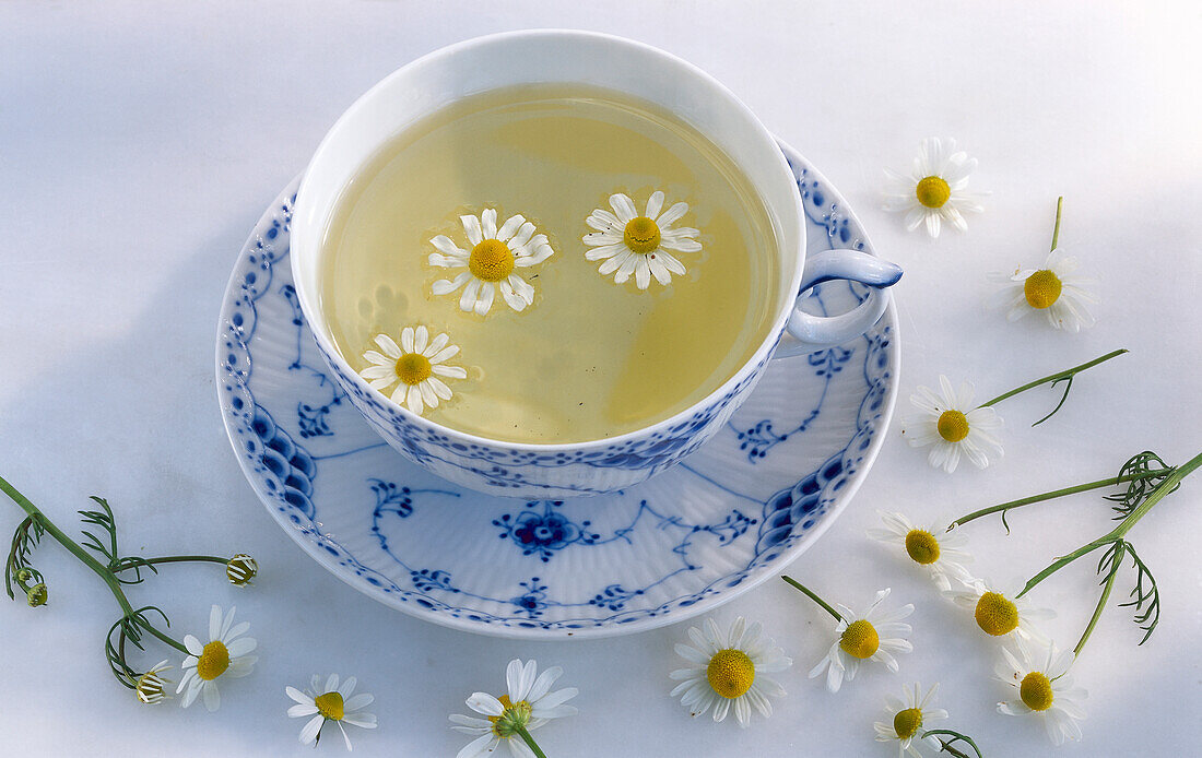 A cup of chamomile tea