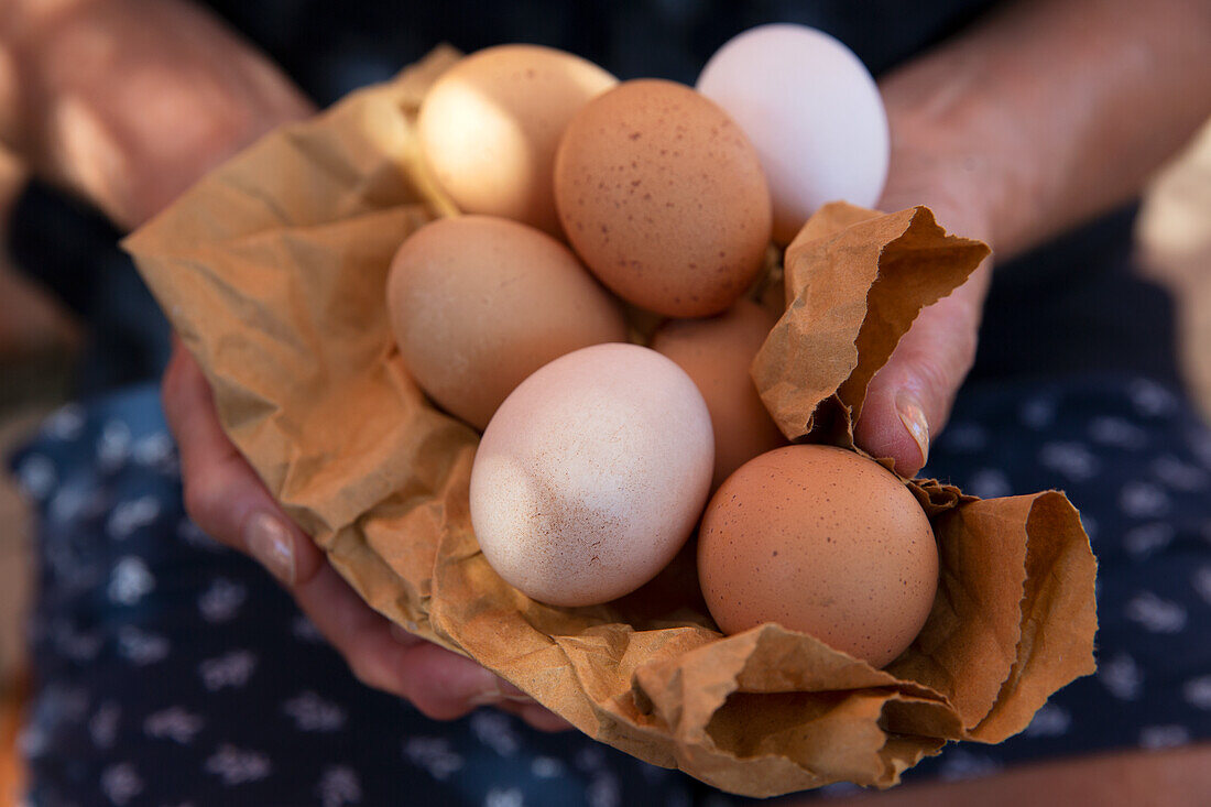 Hände halten frische Eier auf Papier