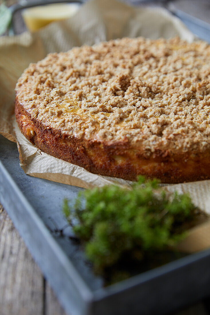 Kürbis-Cheesecake mit Streuseln