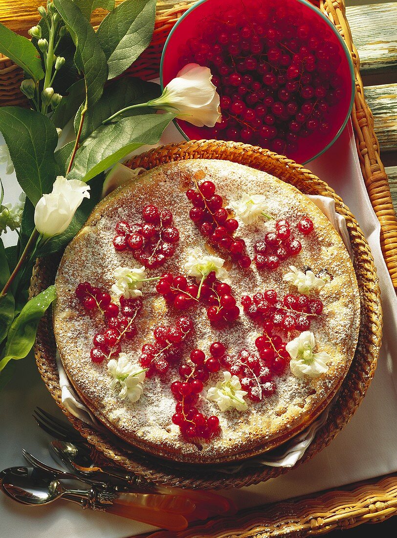 Redcurrant pie, decoration: redcurrants, flowers