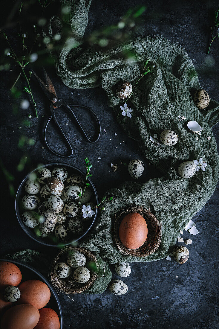 Wachteleier und Hühnereier zu Ostern