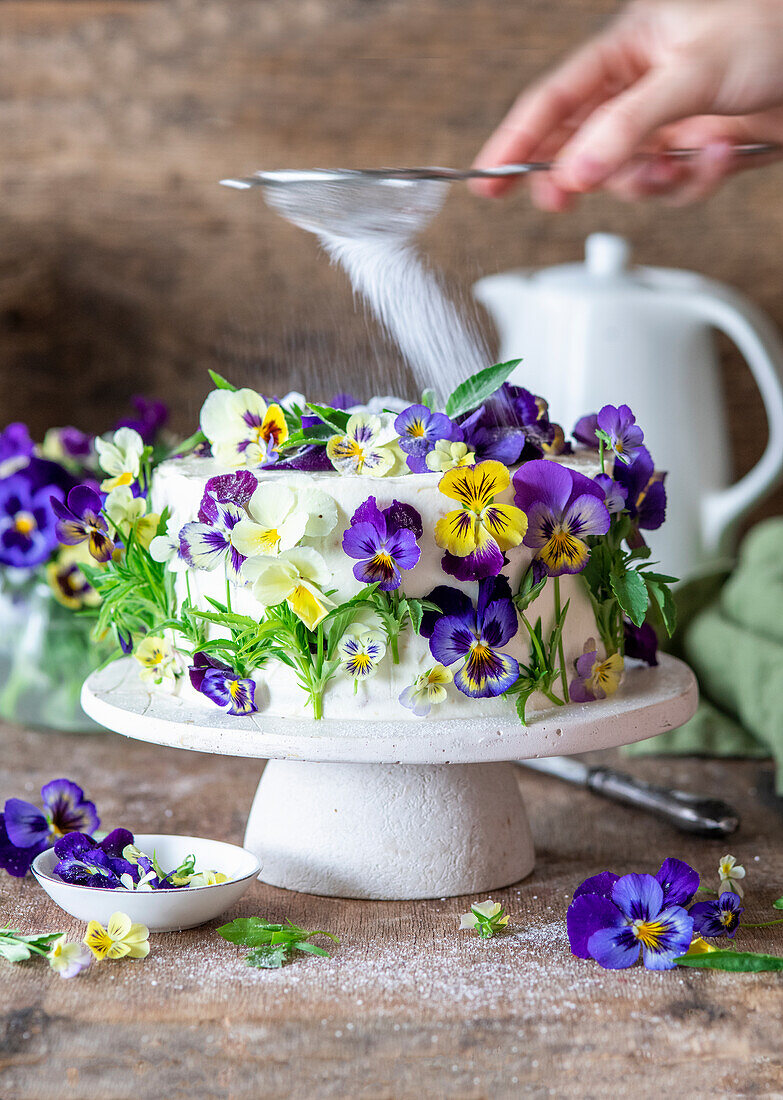 Vanille-Buttercreme-Torte mit Heidelbeeren, dekoriert mit Veilchen wird mit Puderzucker besiebt