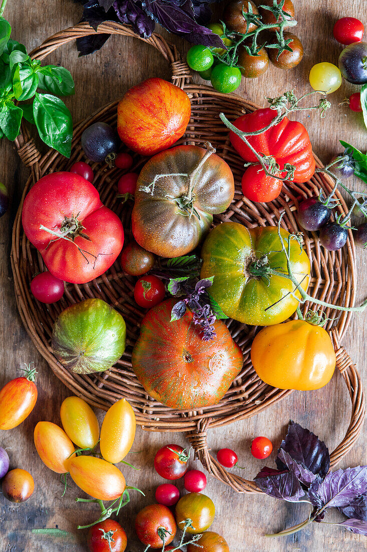 Various fresh tomatoes