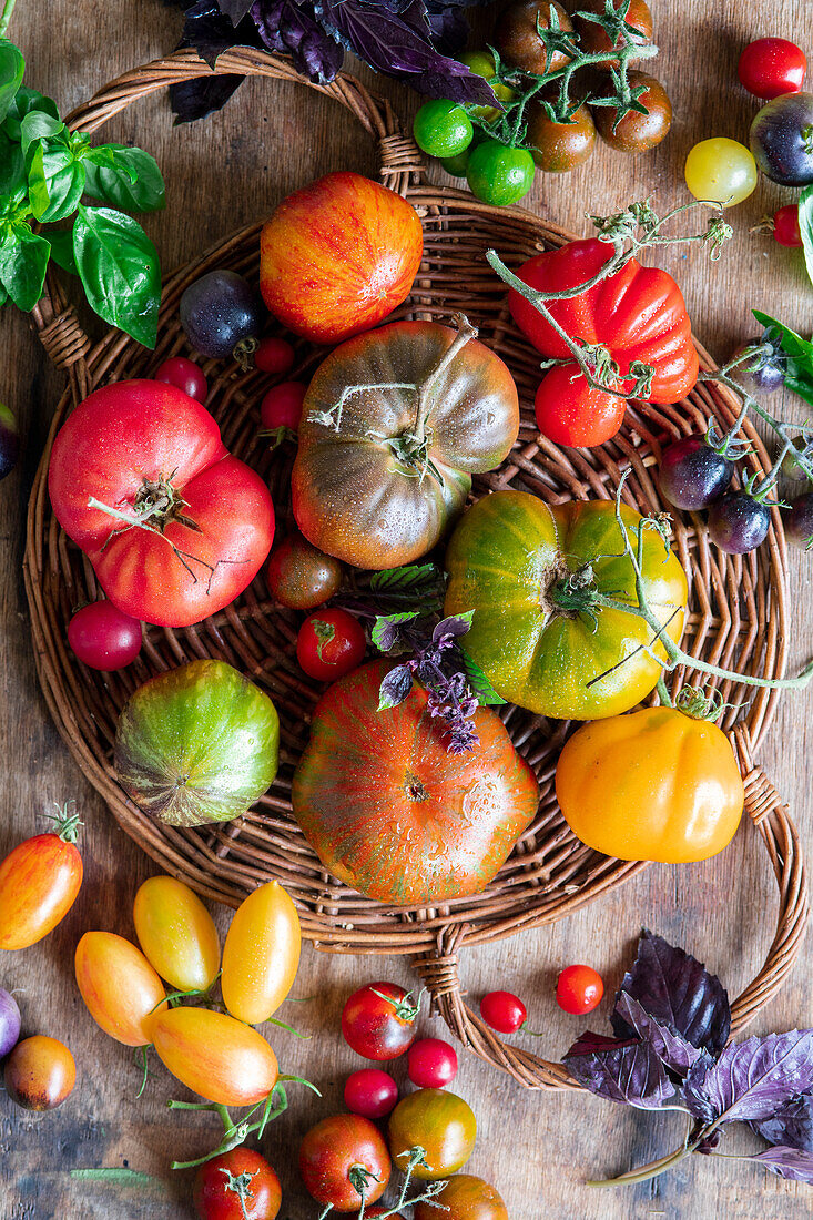 Verschiedene frische Tomaten