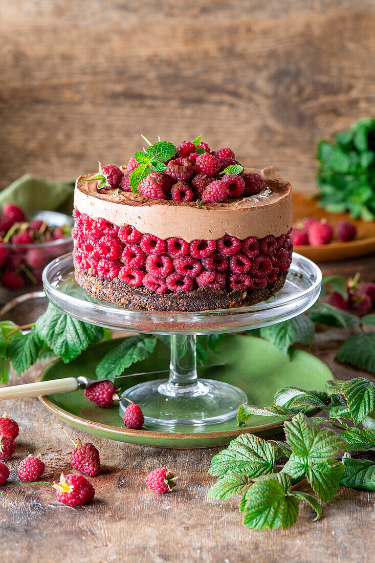 Raspberry chocolate mousse cake