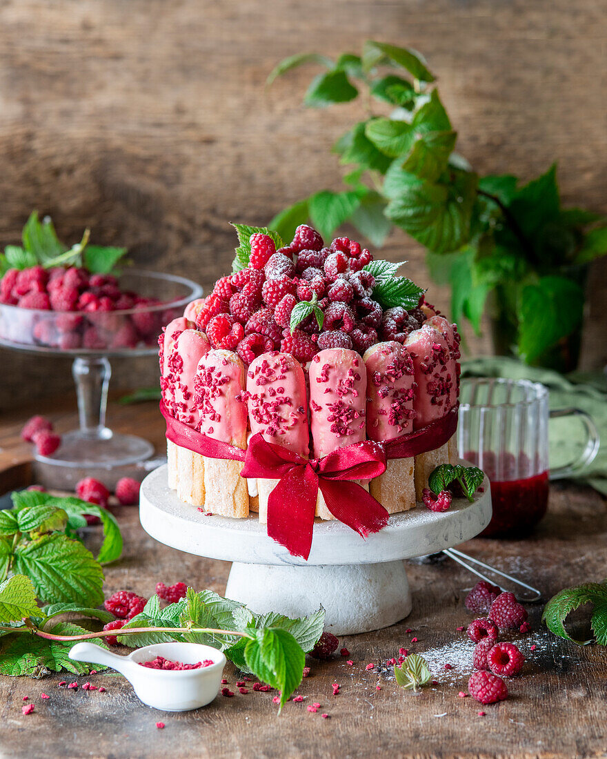 Raspberry tiramisu cake