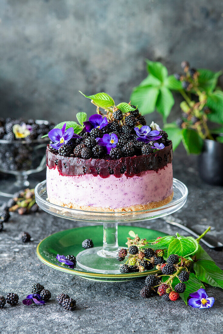 Blackberry cream cheese cake (No Bake)