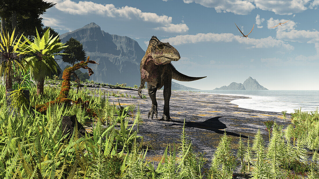 Acrocanthosaurus dinosaur, illustration