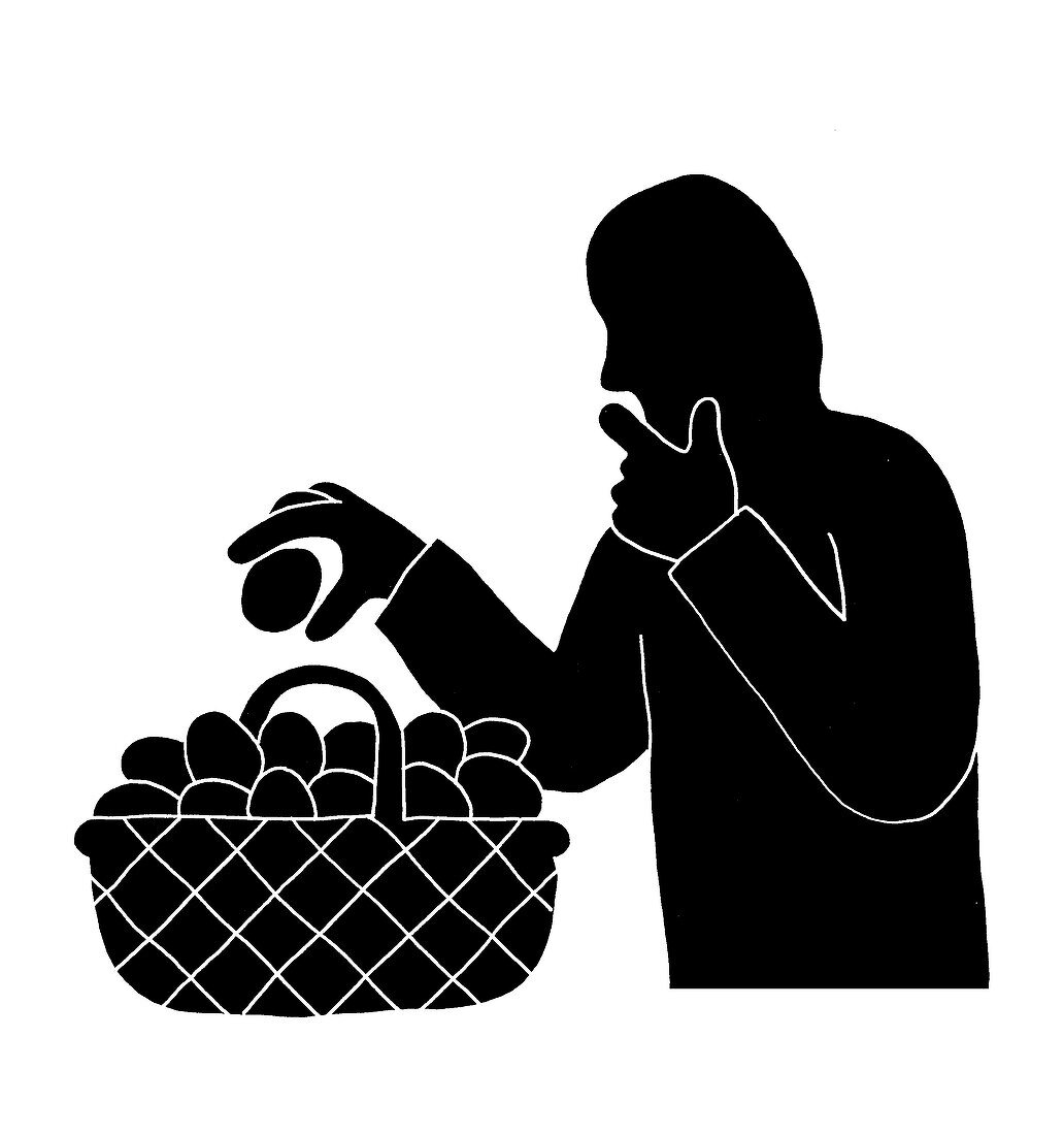 Man placing eggs into basket, illustration