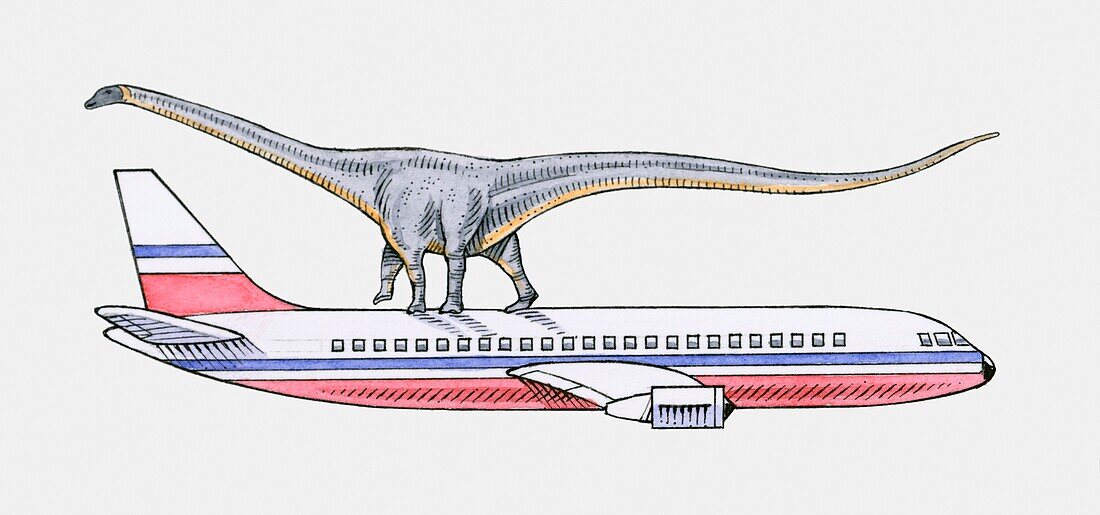 Brachiosaurus on top of commercial airplane, illustration