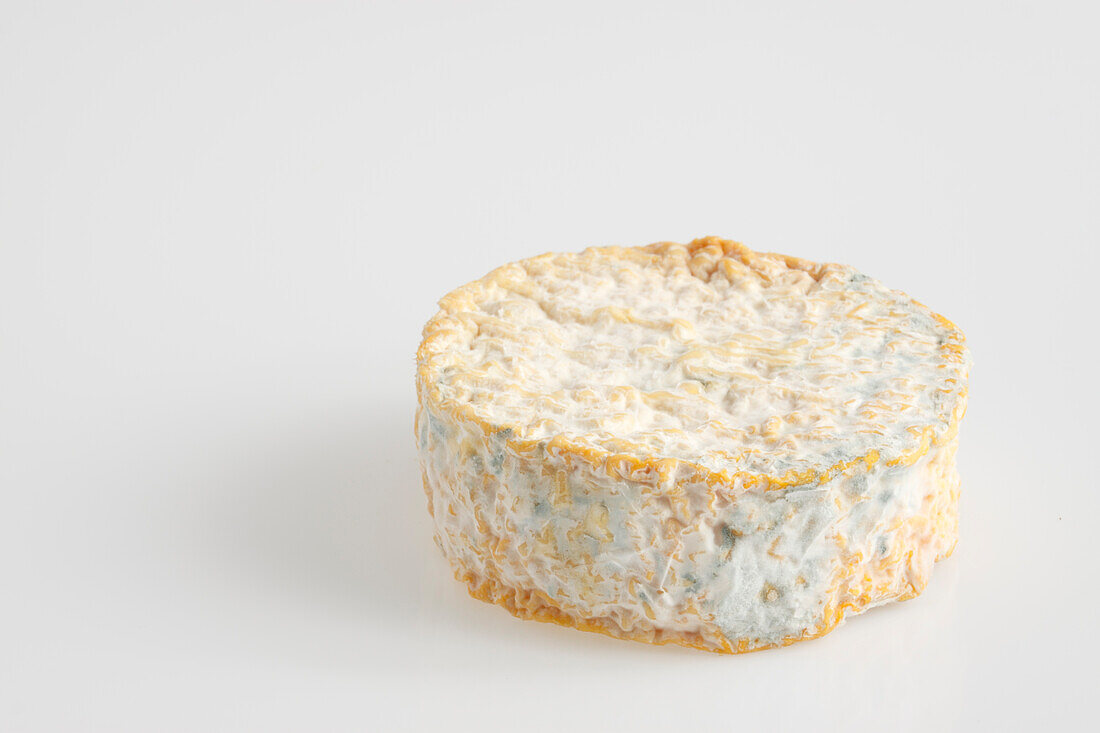 French abbaye de la pierre-qui-vire cow's milk cheese