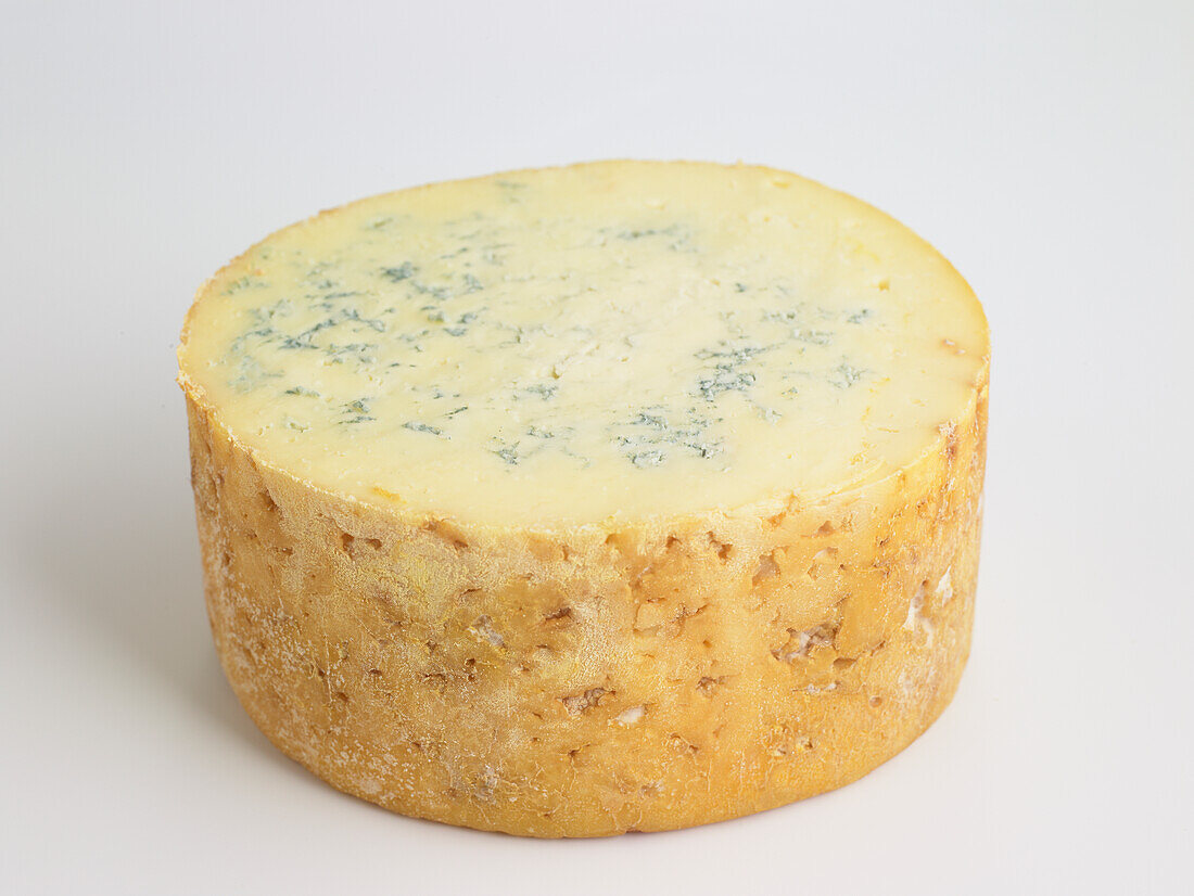 French fourme de montbrison AOC cow's milk blue cheese