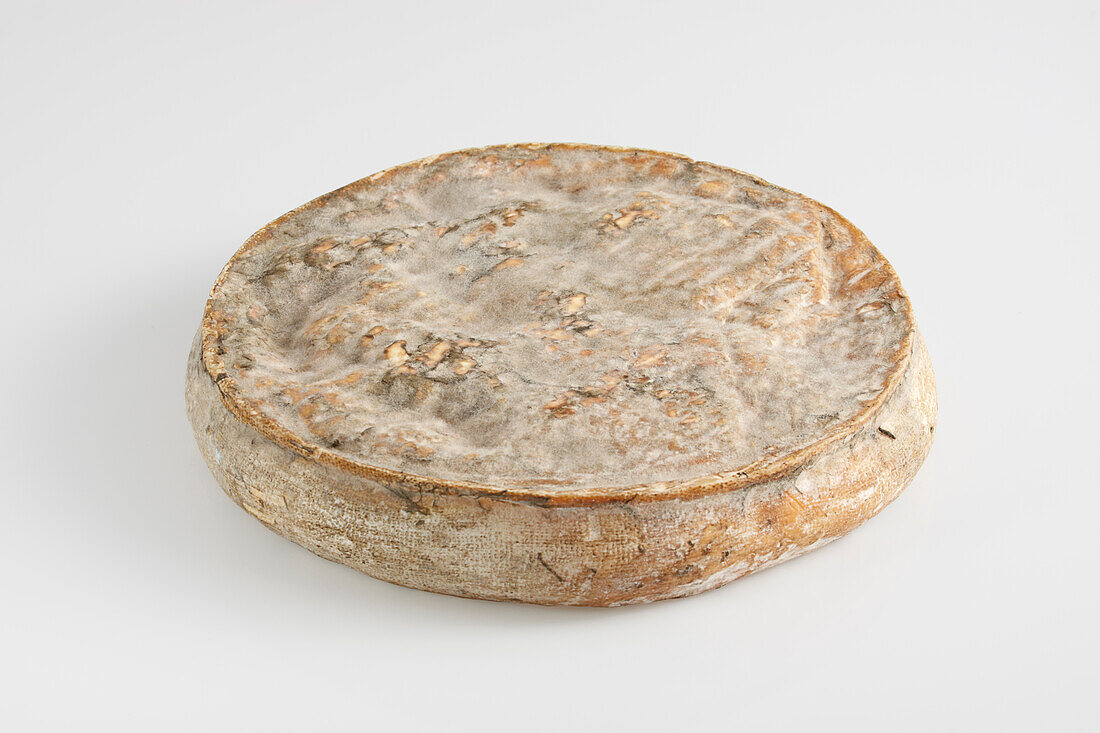 French saint-Nectaire AOC cow's milk cheese