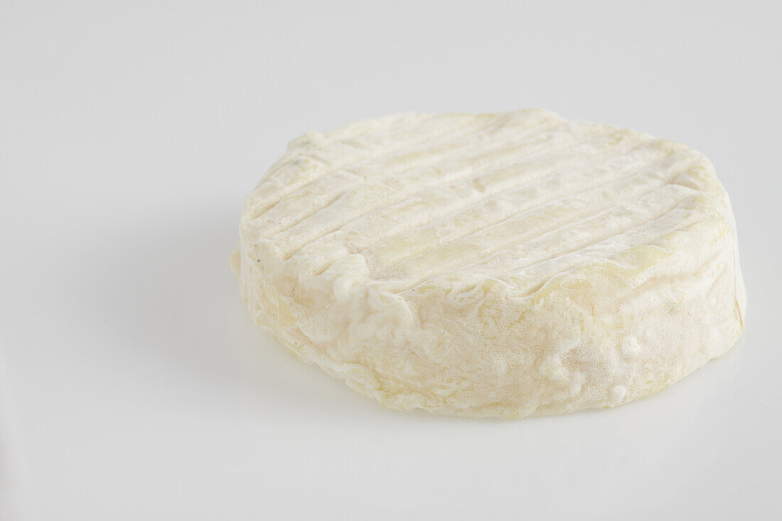 French perail ewe's milk white cheese