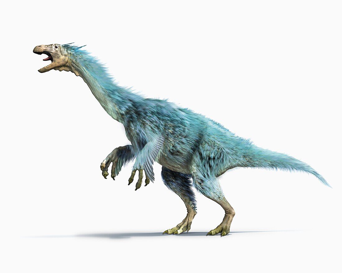 Alxasaurus, illustration
