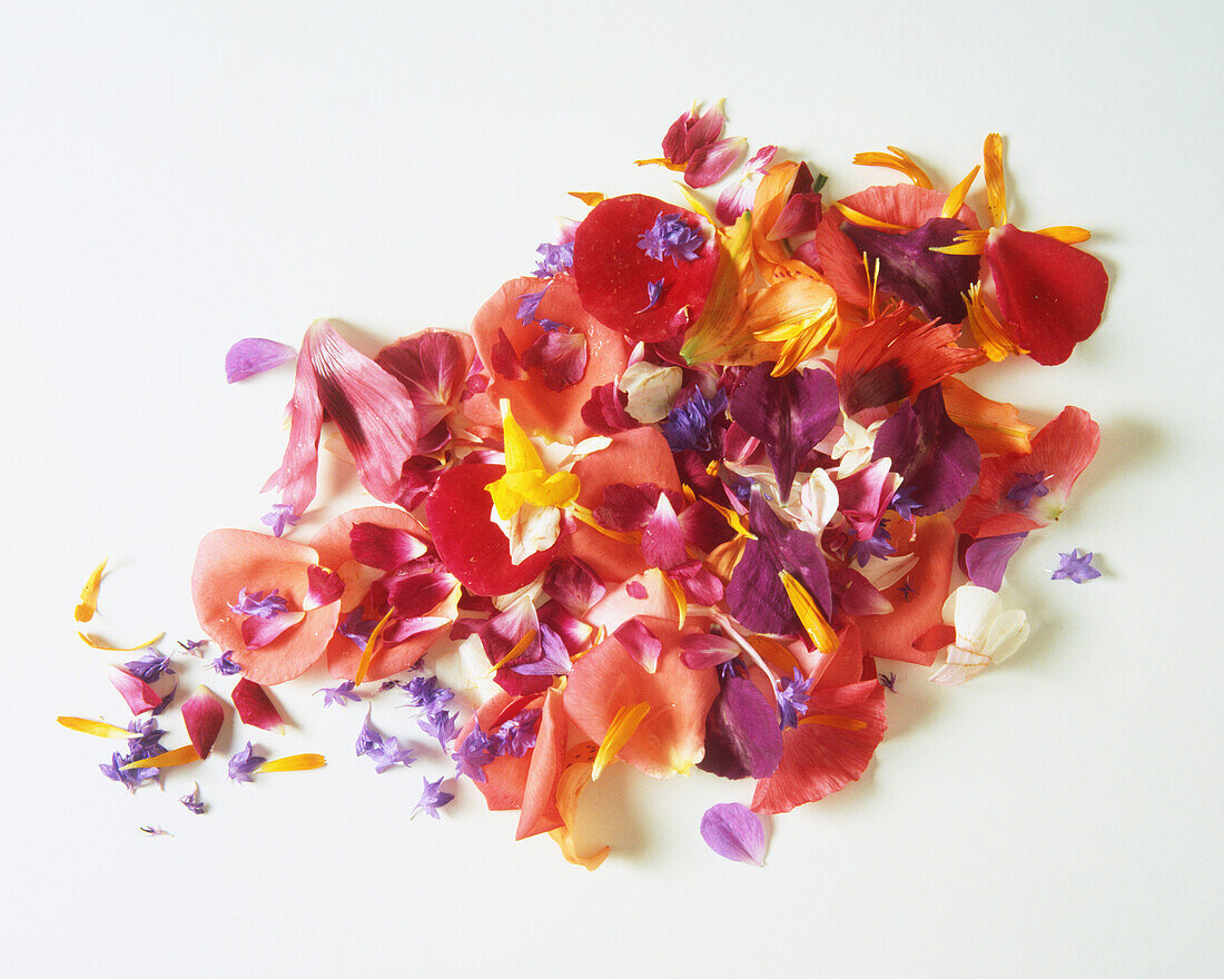 Mixture of colourful flower petals
