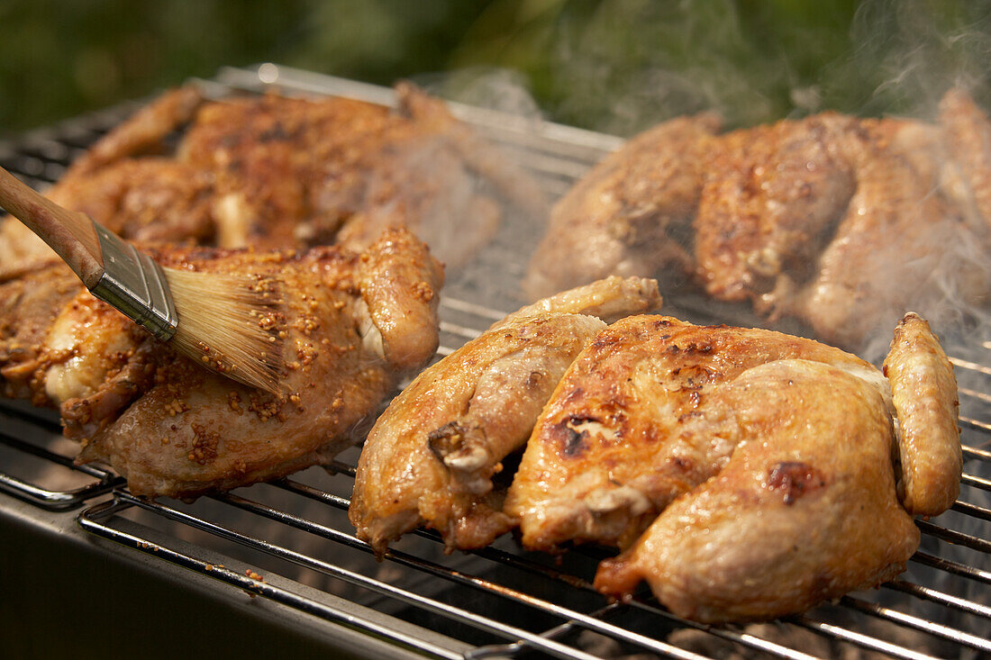 Coating game hens on barbeque grill with mustard mixture