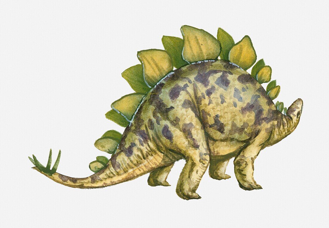 Dinosaur, illustration