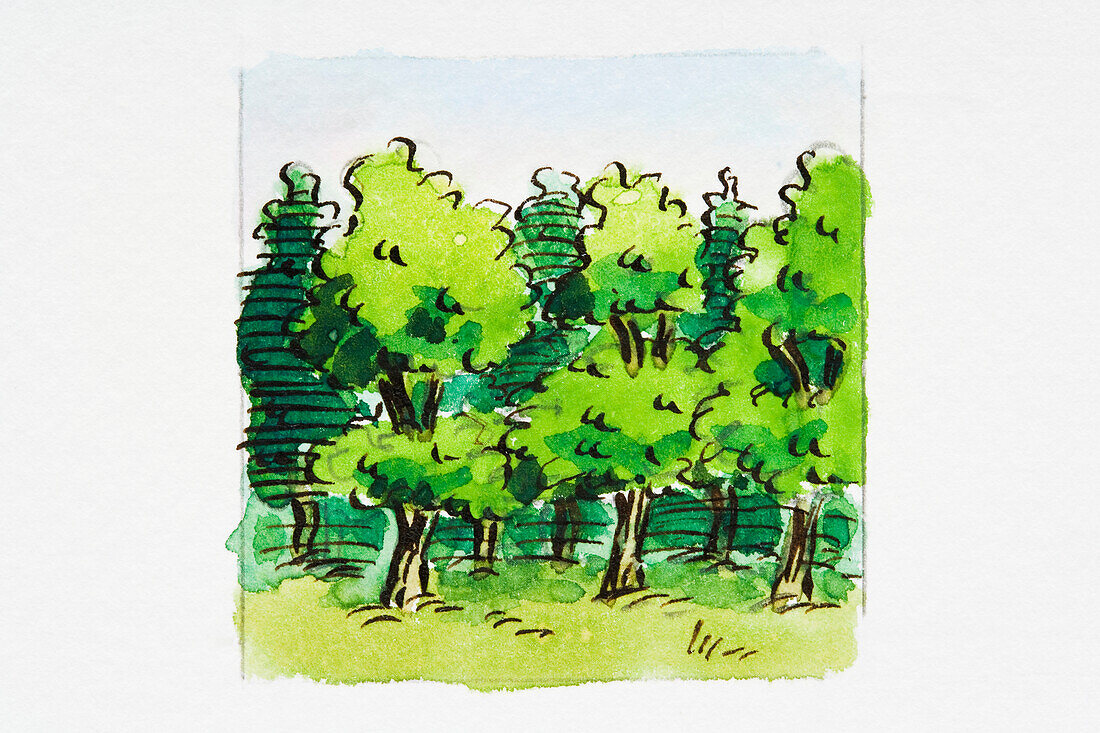 Trees with lush foliage, illustration