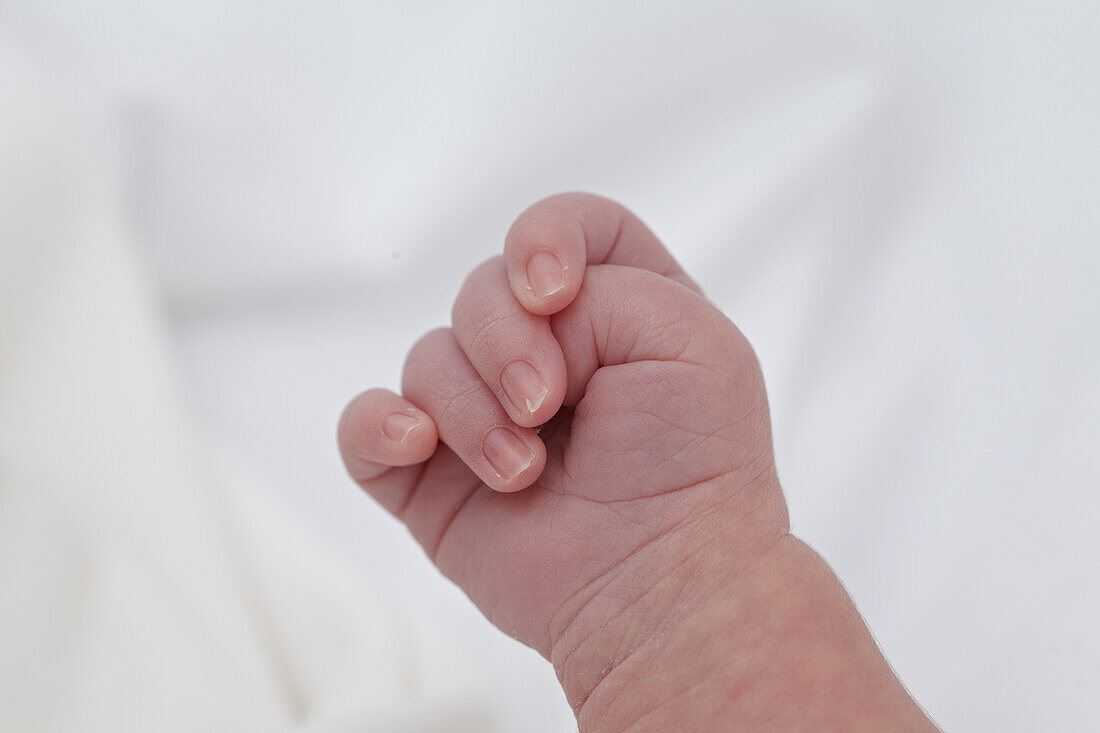 Baby girl's hand