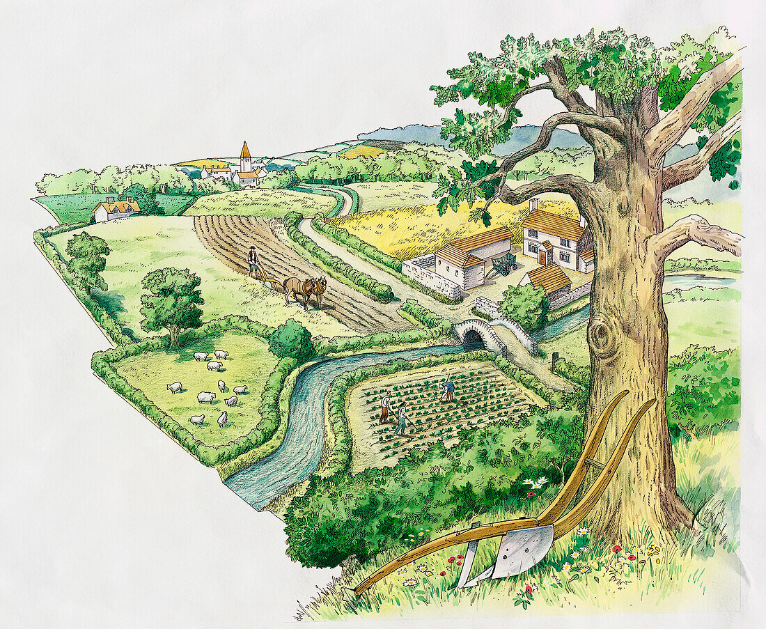 Crop rotated fields, illustration