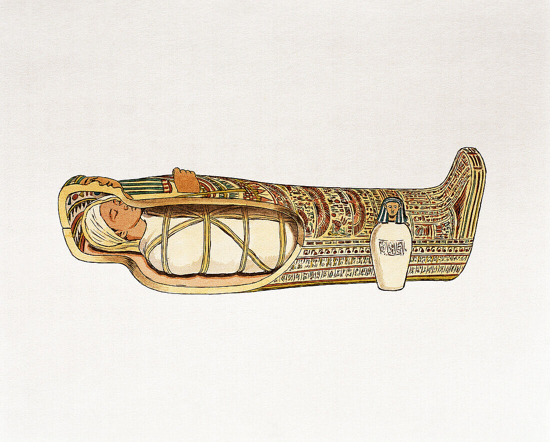 Embalmed mummy in coffin, illustration