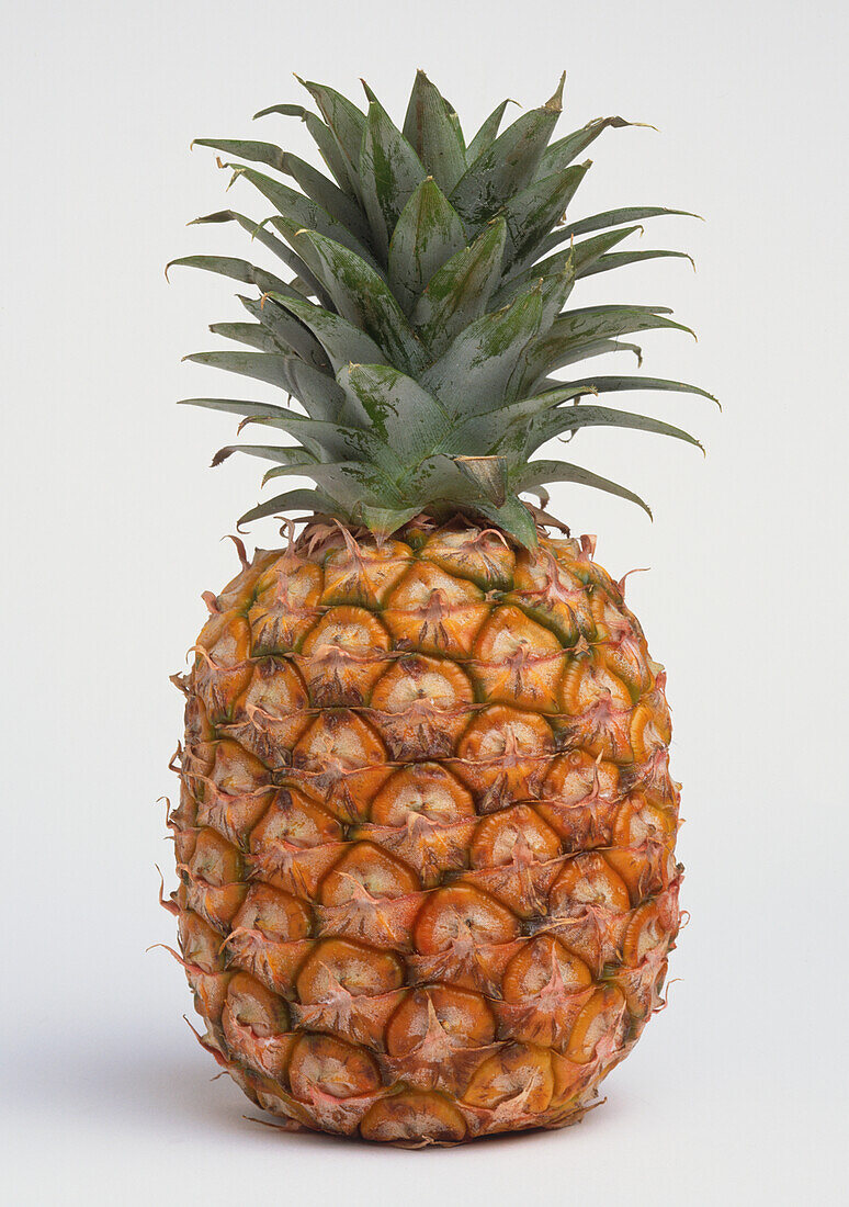 Fresh pineapple