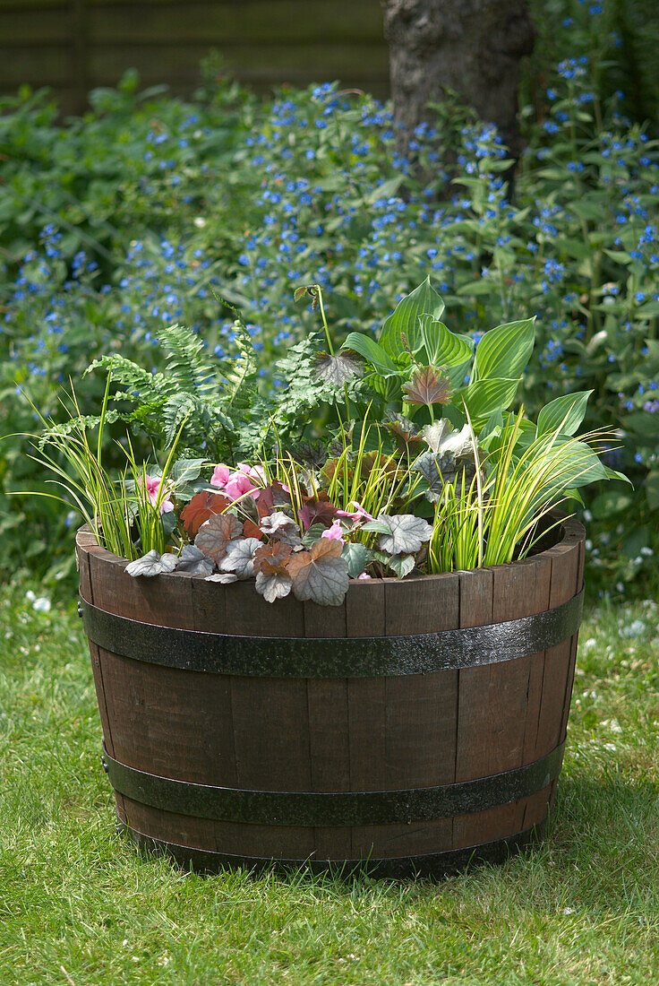 Planting a large container